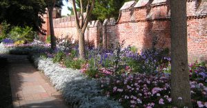 Horticulture - Bishops Palace Gardens